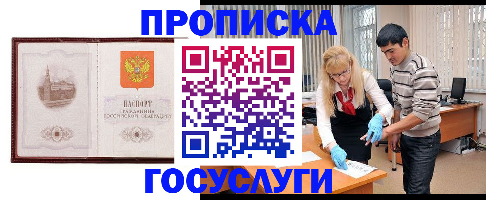 прописка 2025 в Купино